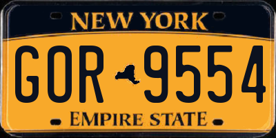 NY license plate GOR9554