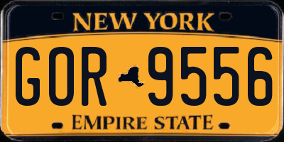 NY license plate GOR9556