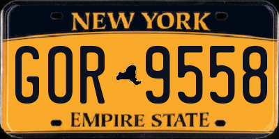 NY license plate GOR9558