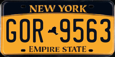 NY license plate GOR9563