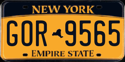 NY license plate GOR9565