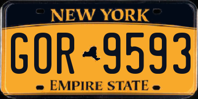NY license plate GOR9593