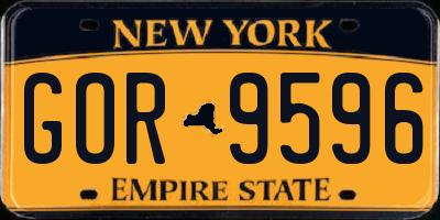 NY license plate GOR9596
