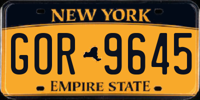 NY license plate GOR9645