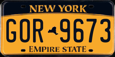 NY license plate GOR9673
