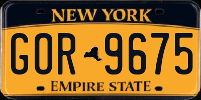 NY license plate GOR9675