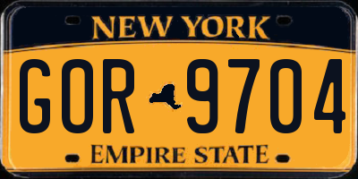 NY license plate GOR9704