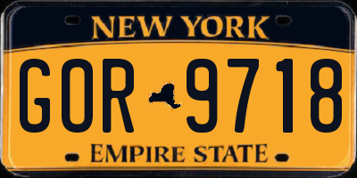 NY license plate GOR9718