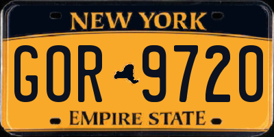 NY license plate GOR9720