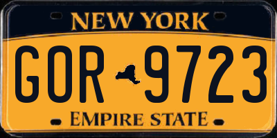 NY license plate GOR9723