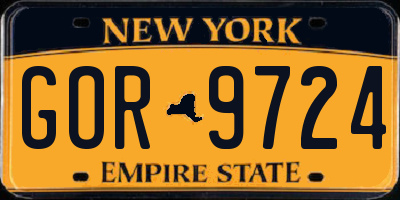 NY license plate GOR9724