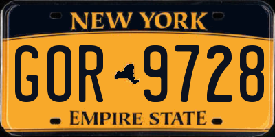 NY license plate GOR9728