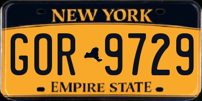 NY license plate GOR9729