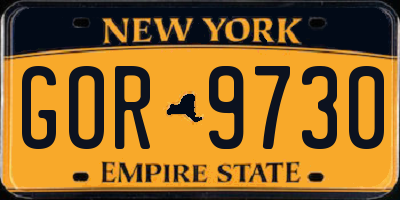NY license plate GOR9730