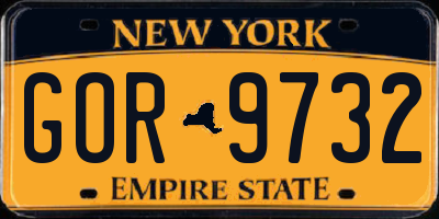 NY license plate GOR9732