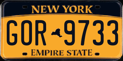 NY license plate GOR9733
