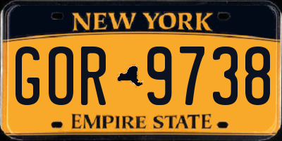 NY license plate GOR9738