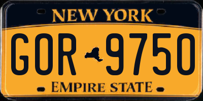 NY license plate GOR9750