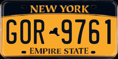NY license plate GOR9761