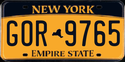 NY license plate GOR9765