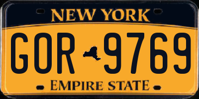 NY license plate GOR9769