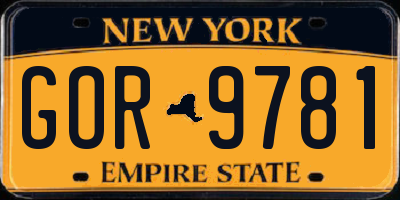 NY license plate GOR9781