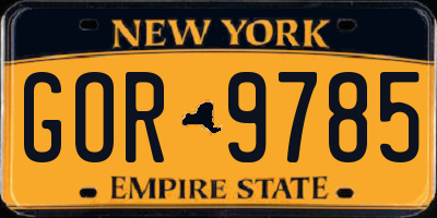 NY license plate GOR9785