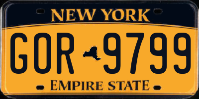 NY license plate GOR9799