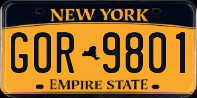 NY license plate GOR9801