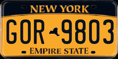 NY license plate GOR9803