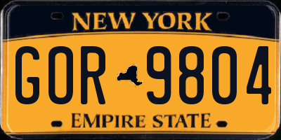NY license plate GOR9804