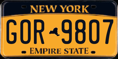 NY license plate GOR9807