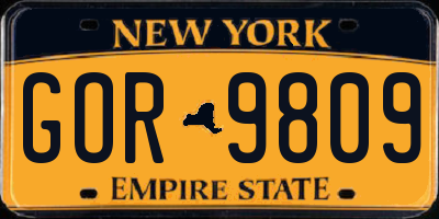 NY license plate GOR9809