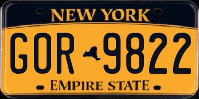 NY license plate GOR9822