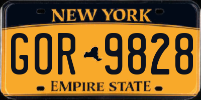 NY license plate GOR9828