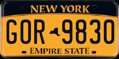 NY license plate GOR9830
