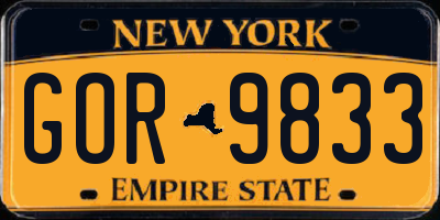 NY license plate GOR9833