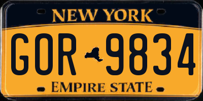 NY license plate GOR9834