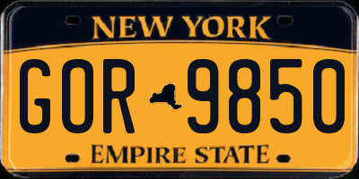 NY license plate GOR9850