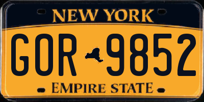 NY license plate GOR9852