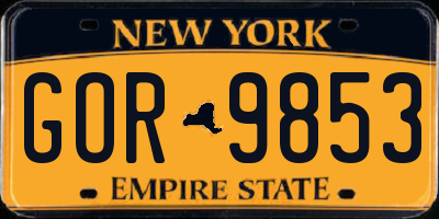NY license plate GOR9853