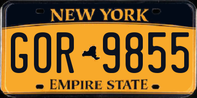 NY license plate GOR9855