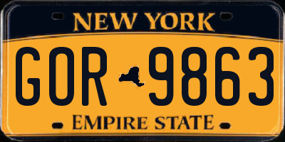 NY license plate GOR9863