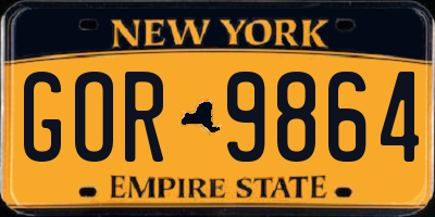 NY license plate GOR9864