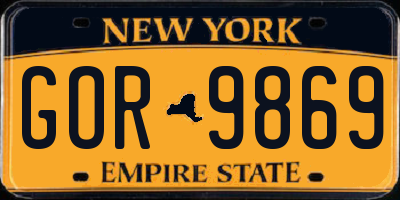 NY license plate GOR9869