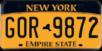 NY license plate GOR9872
