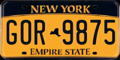 NY license plate GOR9875