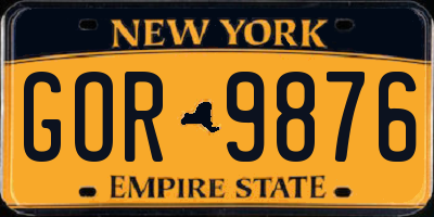 NY license plate GOR9876