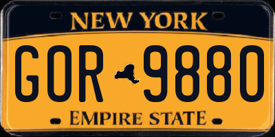 NY license plate GOR9880
