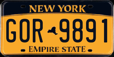 NY license plate GOR9891